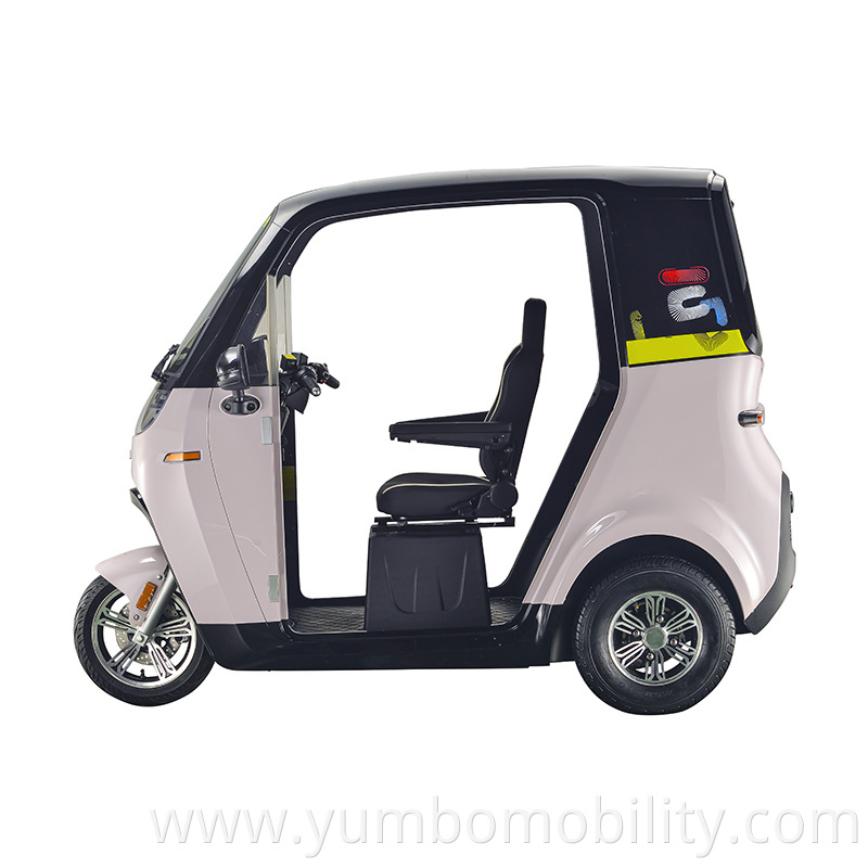 Two Doors Removable Electric Cabin Scooter